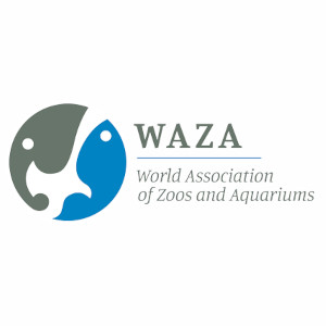 wazalogo